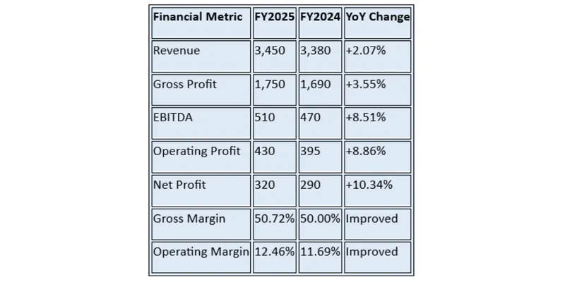 Financial Summary Table